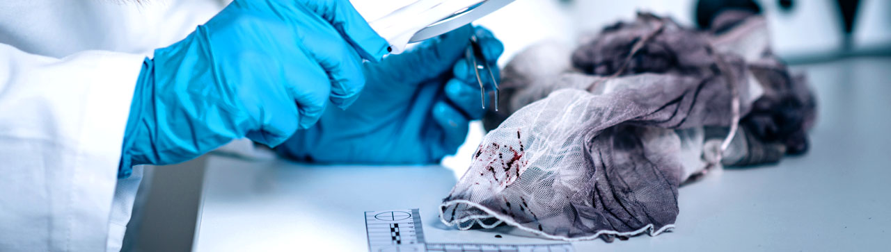 FEATURED ONLINE TRAINING PROGRAM